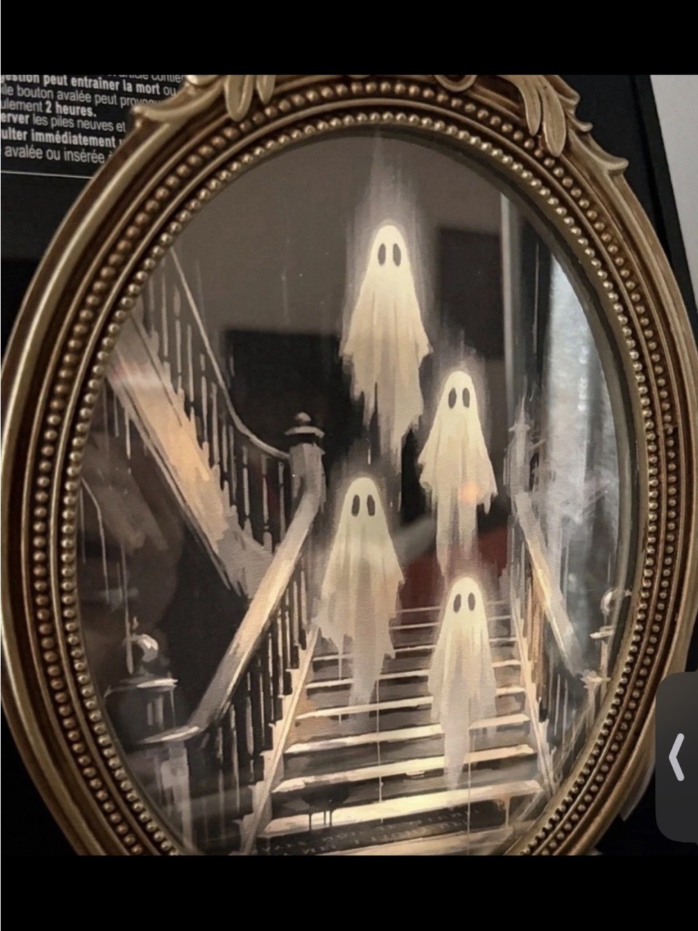 Martha Stewart LED Halloween Ghost Mirror Viral TikTok New